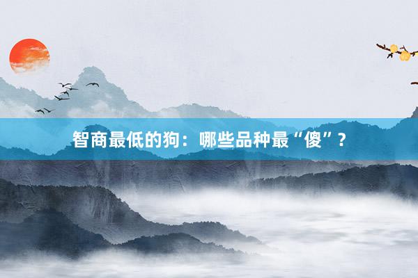 智商最低的狗：哪些品种最“傻”？